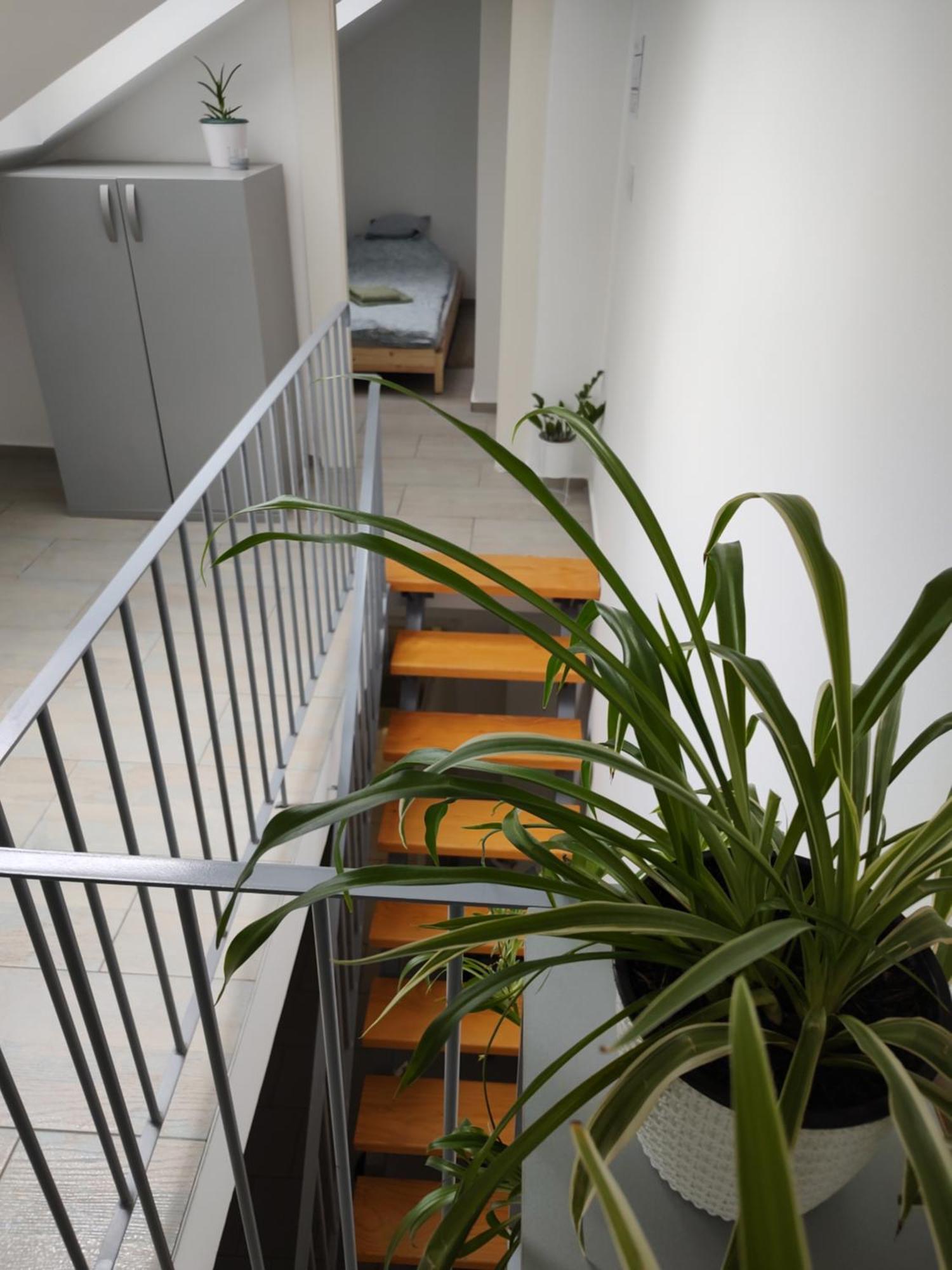 Twowheels Apartment - Apartment With Bicycles Novi Sad Room photo
